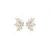 Muse Earrings