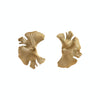 Ginkgo Earrings