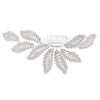 Silver%2Bfern%2BHP.jpg