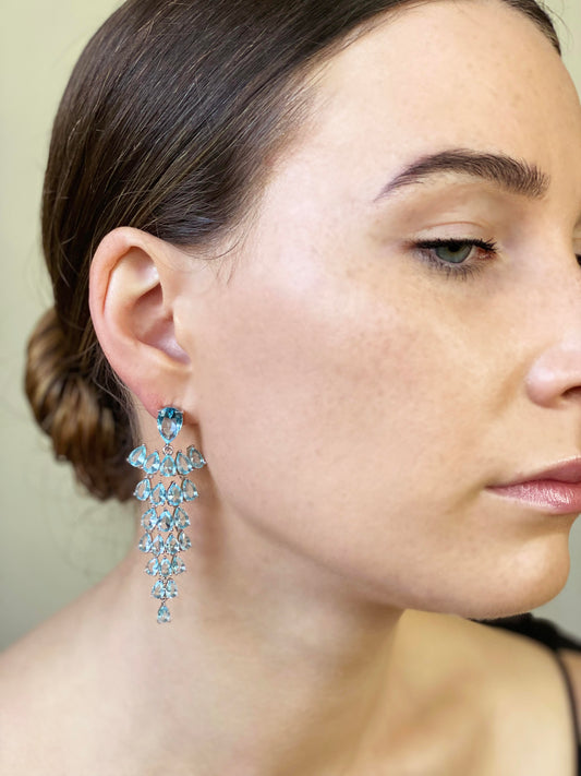 Aquarius Earrings