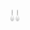 Brighton II Earrings
