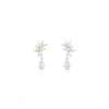 Twilight Drop Earrings
